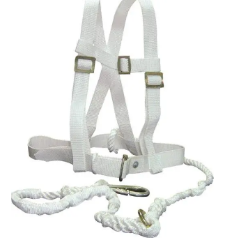 16華通勞保1.jpg 16華通勞保1.jpg